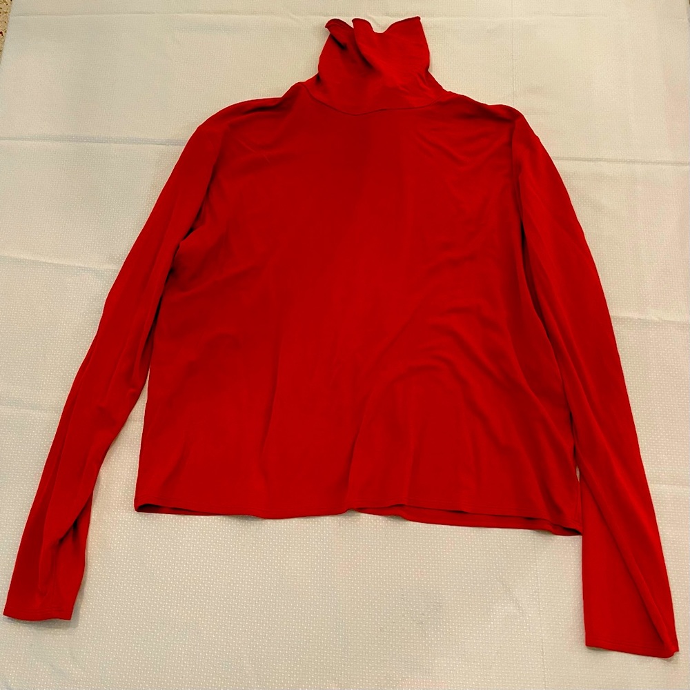 Eileen Fisher 100% Silk Long-sleeve Turtle Neck- Burnt Orange, sz L